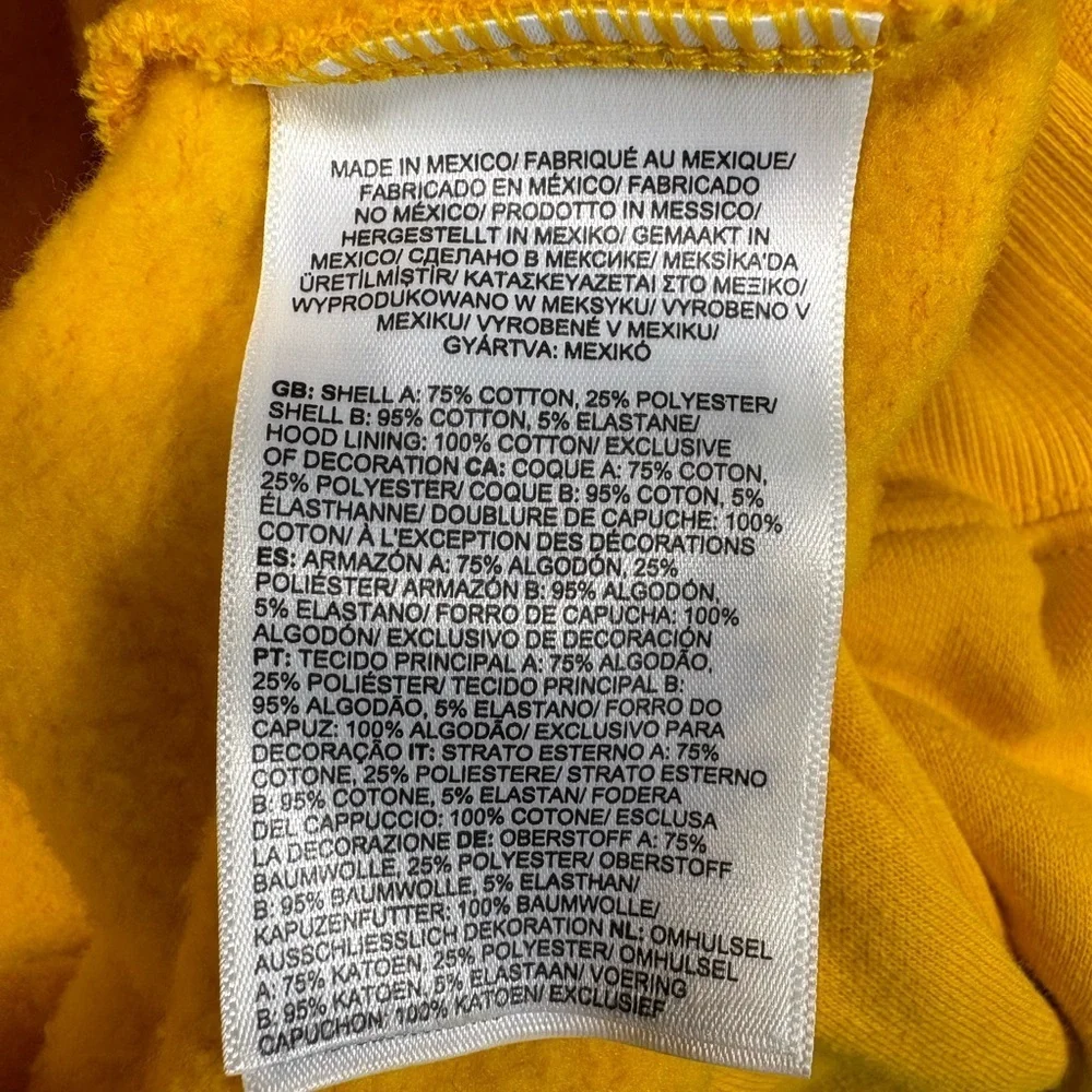 The North Face Men's Places We Love Standard Fit Printed Hoodie in Summit Gold